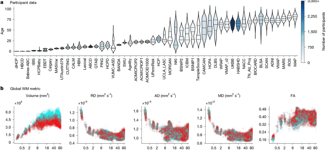 New Nature Publication Highlights the Importance of White Matter Mapping Across the Lifespan